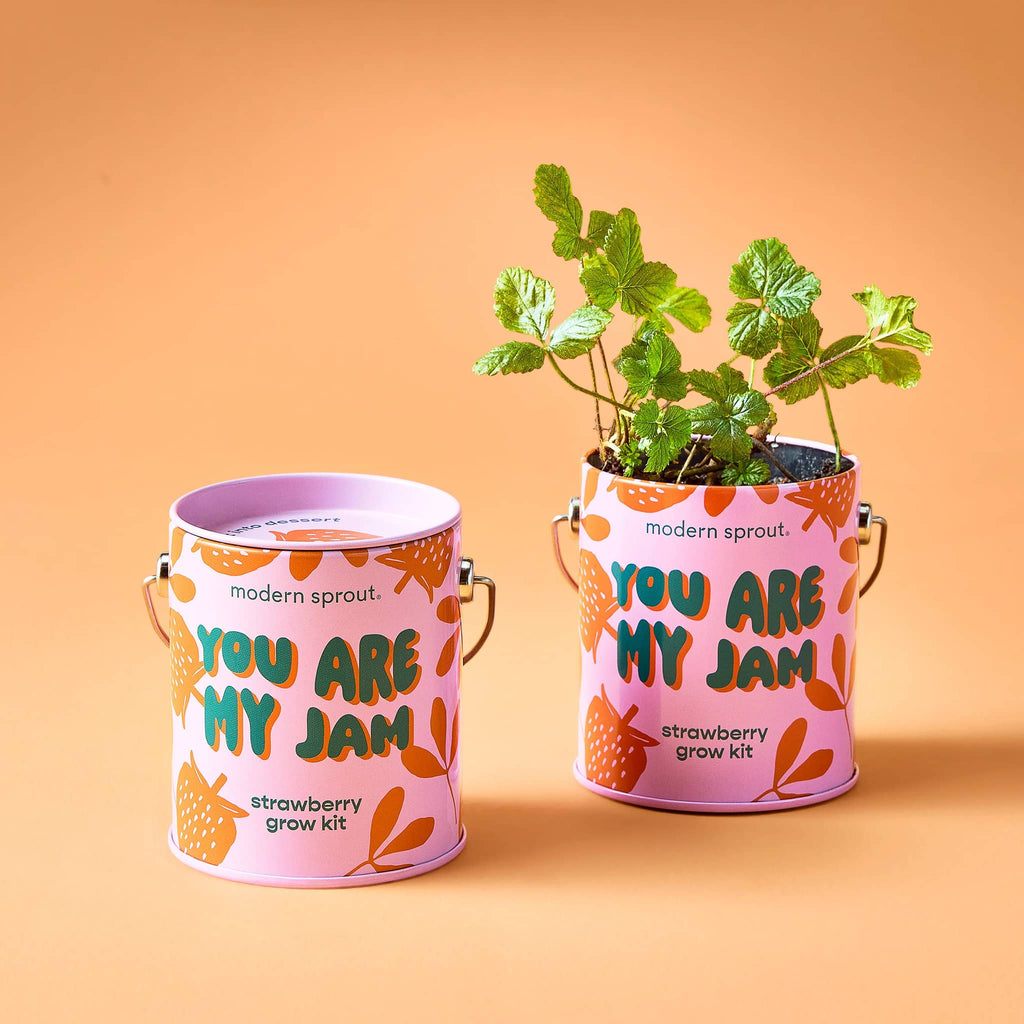 Modern Sprout Strawberry Complimentary Colors Grow Kit in pink mini paint can packaging, one with plant growing.