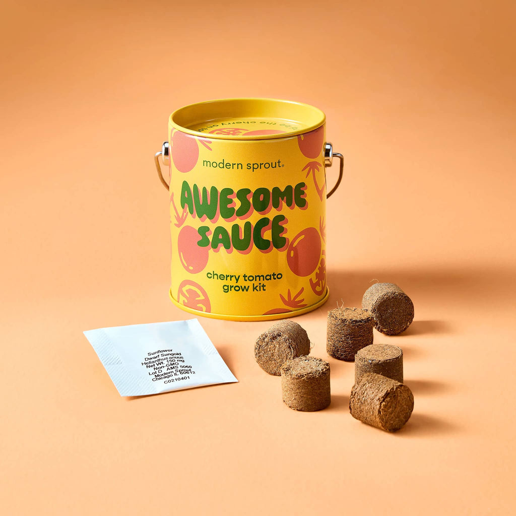 Modern Sprout Cherry Tomato Complimentary Colors Grow Kit in yellow mini paint can packaging, with contents.