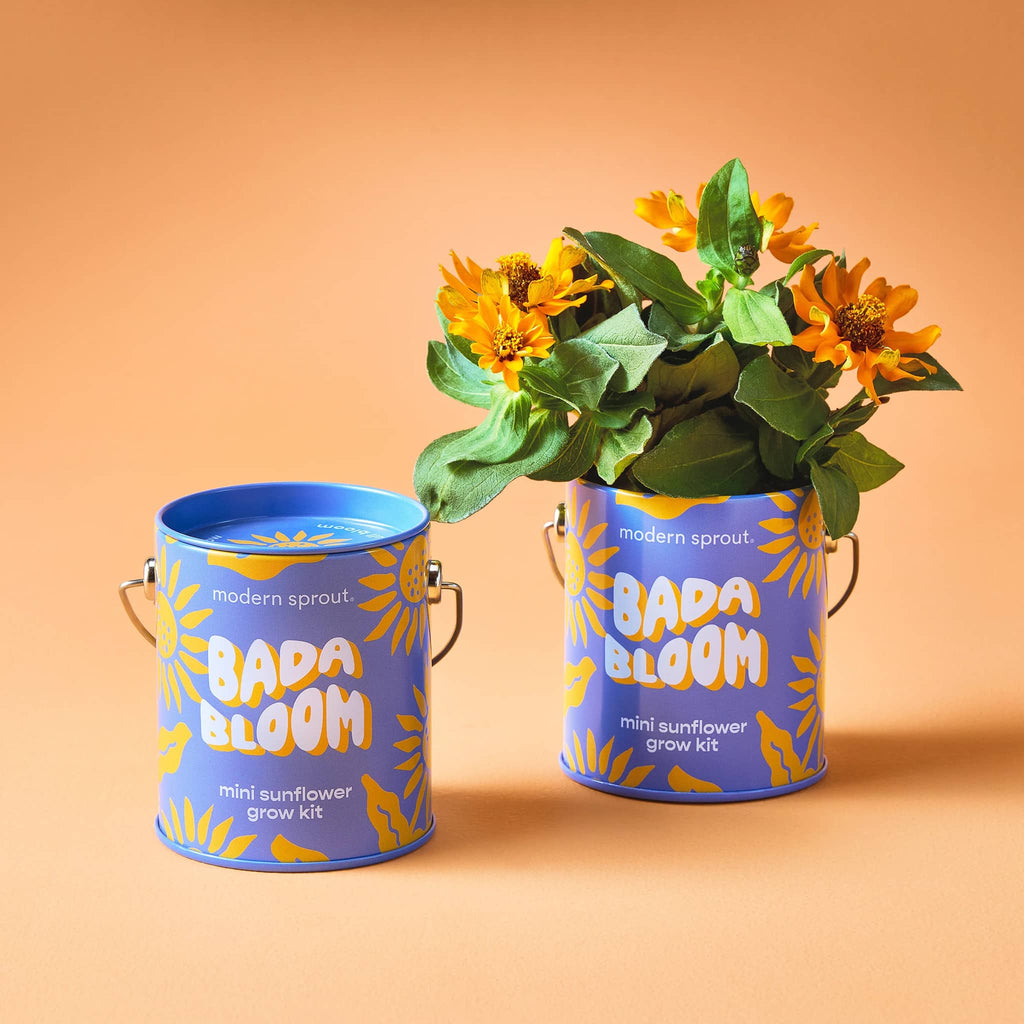 Modern Sprout Mini Sunflower Complimentary Colors Grow Kit in blue mini paint can packaging, one with plant growing.