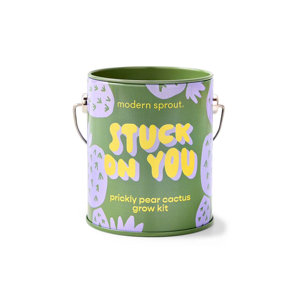 Modern Sprout Prickly Pear Cactus Complimentary Colors Grow Kit in green mini paint can packaging, front view.