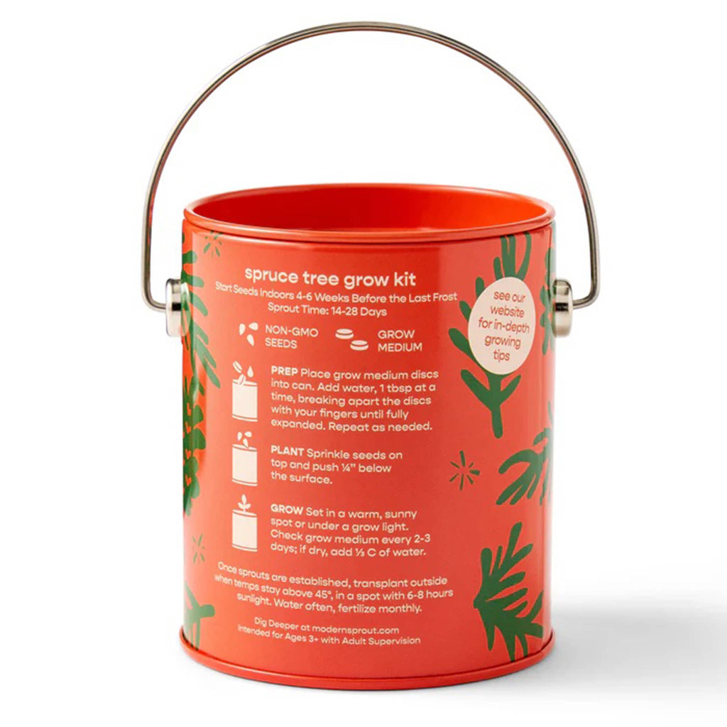 Spruce tree grow kit container with green leaf patterns, back view with instructions, on a white background.