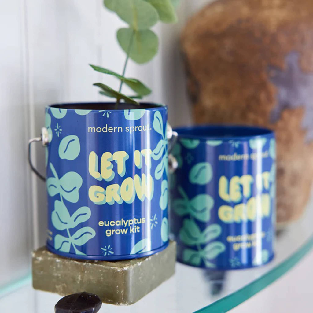 Two blue plant grow kits with 'Let It Grow' text on a white surface.