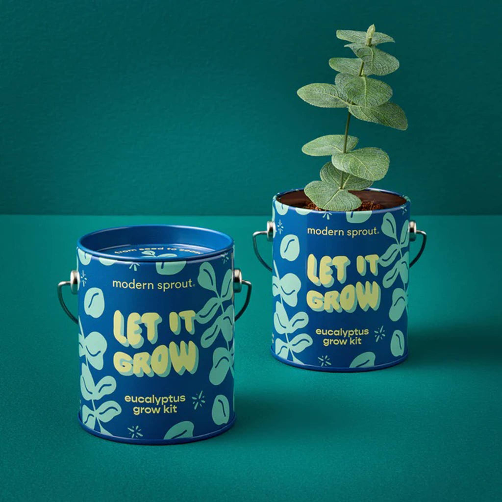 Two blue plant pots with 'modern sprout' branding on a teal background, one with a sprout growing.