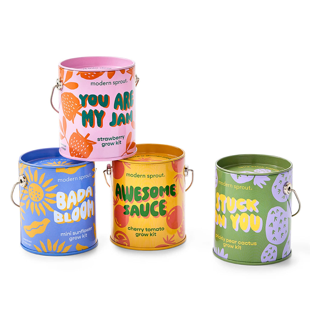 Modern Sprout Complimentary Colors Grow Kits in mini paint can packaging, 4 styles.