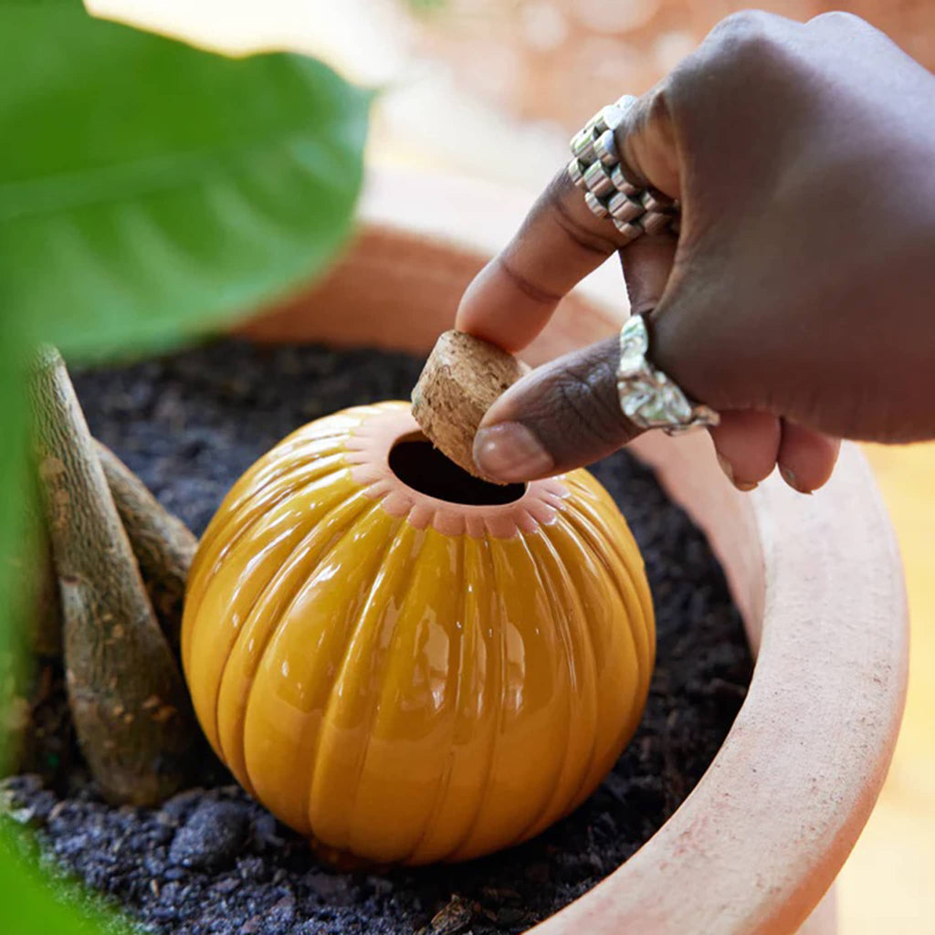Person placing a cork into a yellow terracotta watering bulb in a pot with plants.