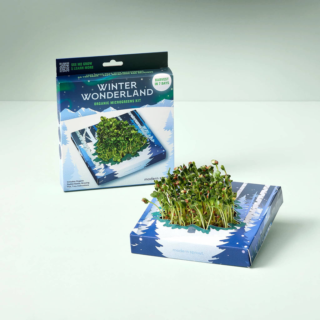 Modern Sprout Winter Wonderland Organic Microgreens Kit in box packaging, with sprouted kit shown in front.