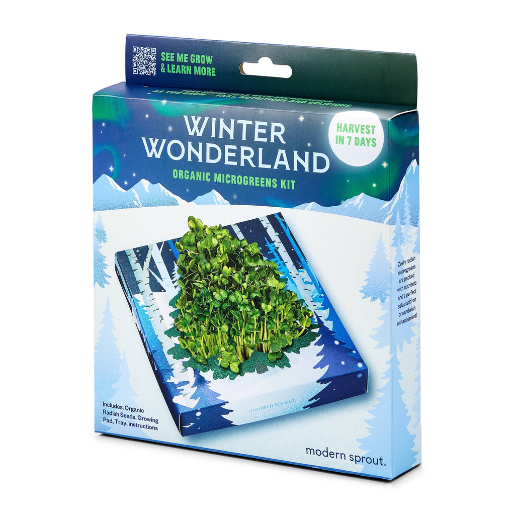 Modern Sprout Winter Wonderland Organic Microgreens Kit in box packaging, front angle view.