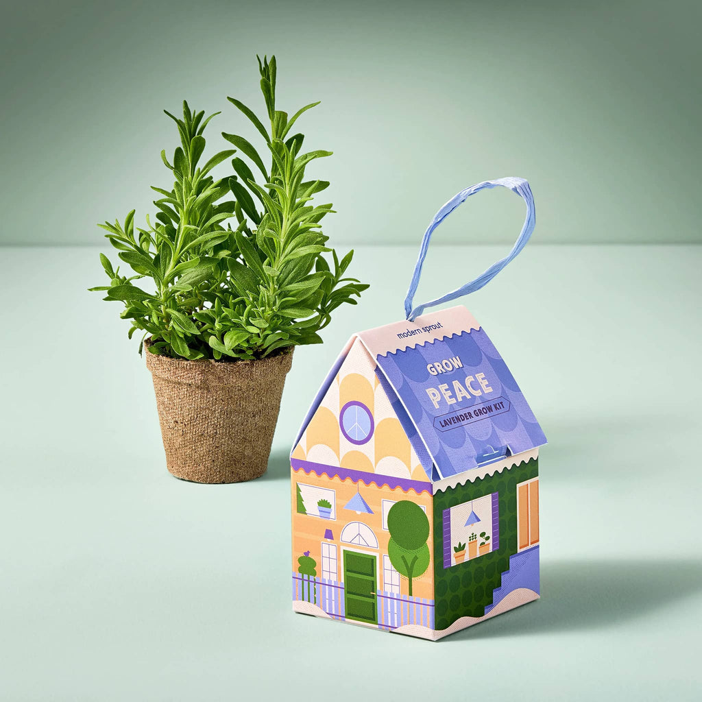 Modern Sprout Home Grown Ornament in Grow Peace, Lavender grow kit in house-shaped box ornament with raffia  hanger, front angle view with grown plant in pot next to it.