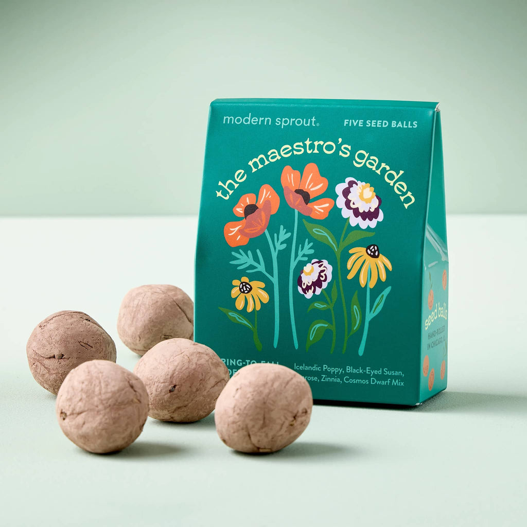 Five seed balls in front of 'the maestro's garden' packaging on a light green background.