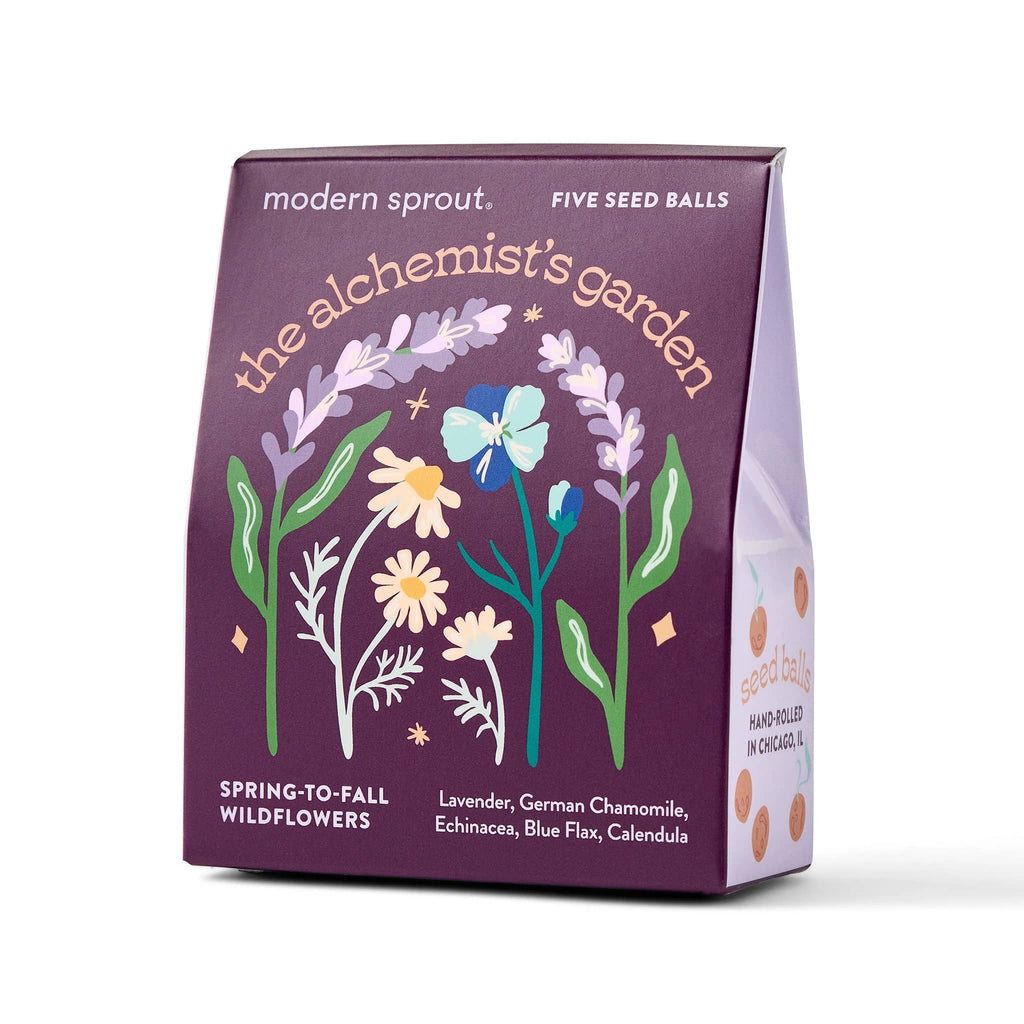 Box of 'The Alchemist's Garden' seed balls by modern sprout on a white background.
