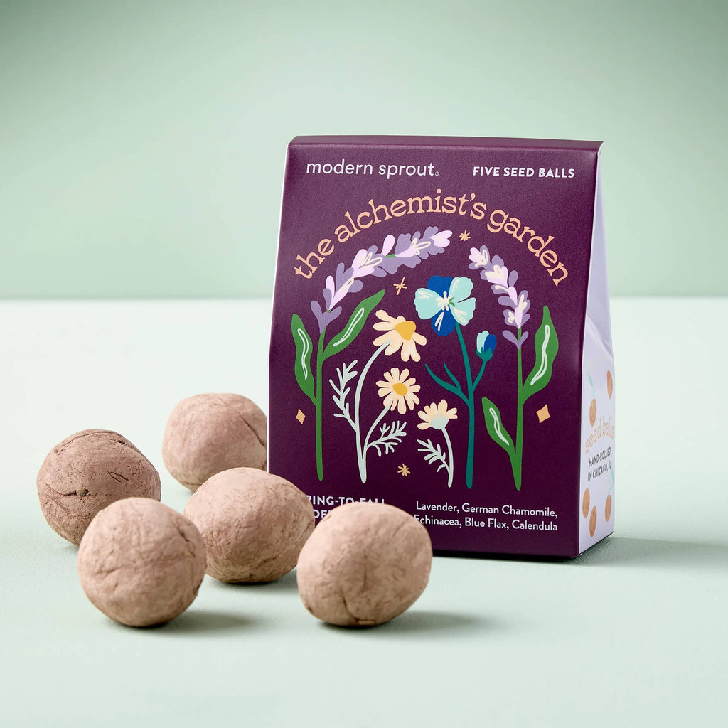 Five seed balls and their packaging labeled 'the alchemist's garden' on a light green background.