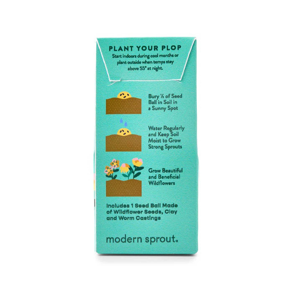 Teal green packaging with planting instructions and 'Modern Sprout' branding.
