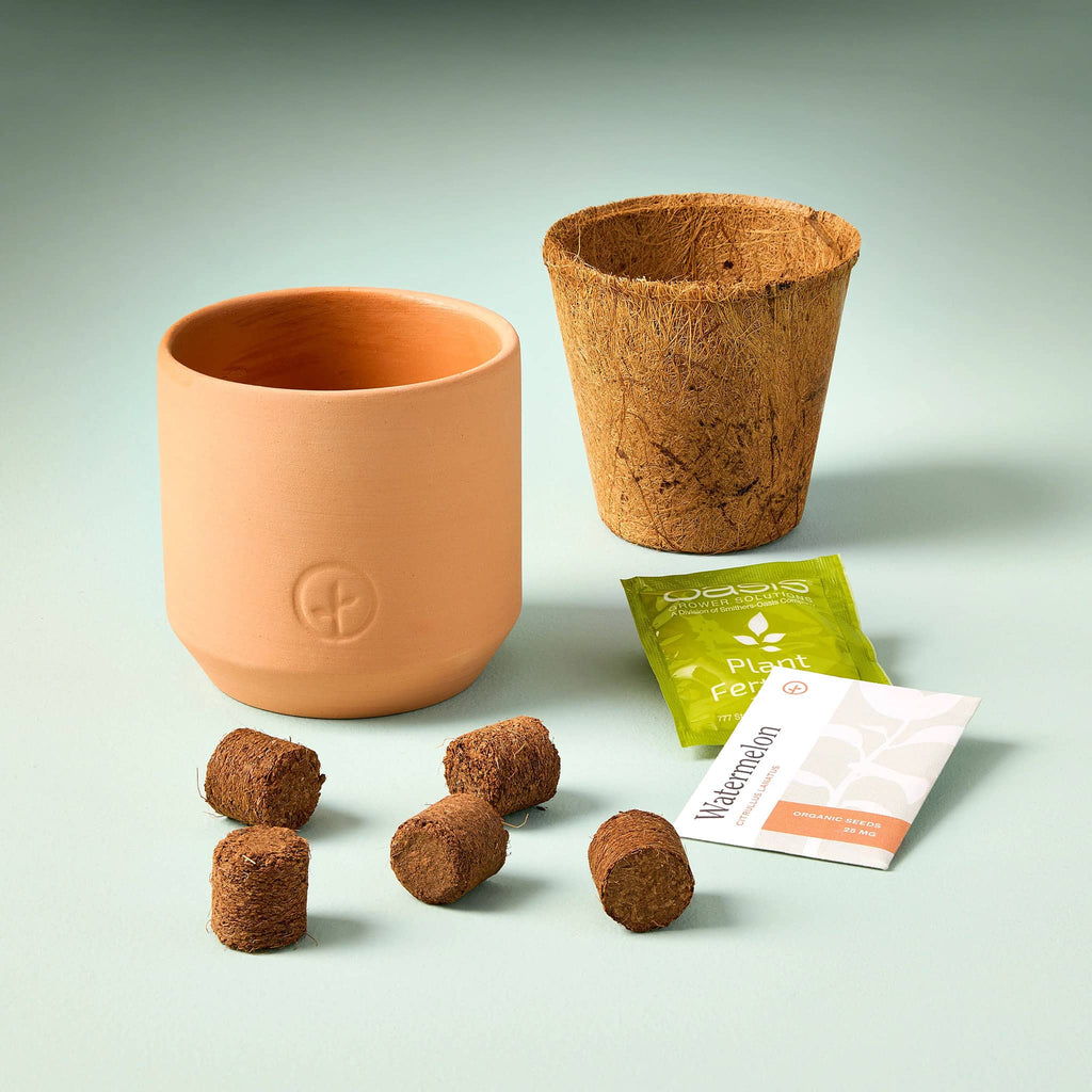 Modern Sprout Baby Watermelon Seed Sprouting Kit, contents including a small terracotta pot, coconut husk liner, plant food, seeds and peet discs.