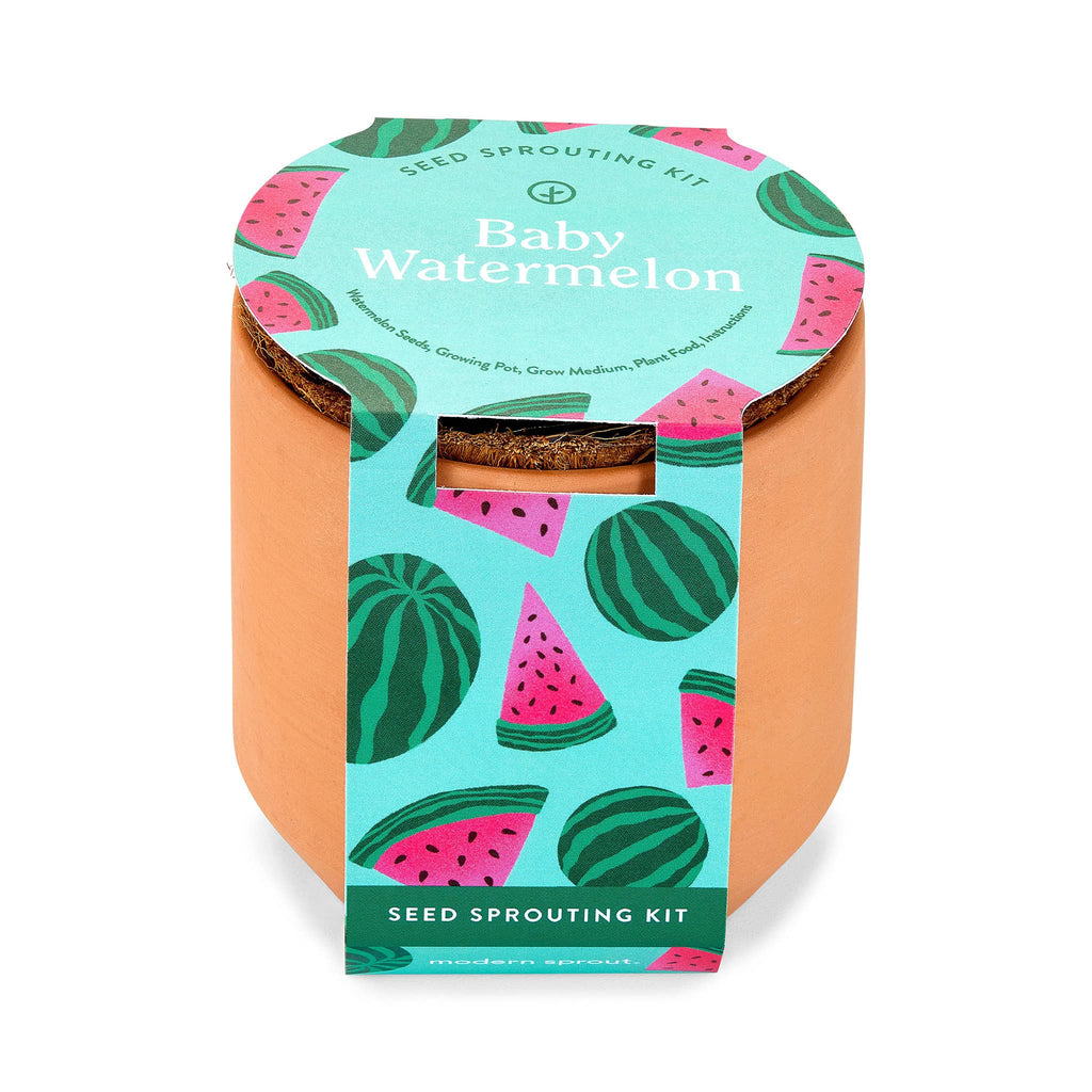 Modern Sprout Baby Watermelon Seed Sprouting Kit in a small terracotta pot with illustrated belly band packaging, front view.