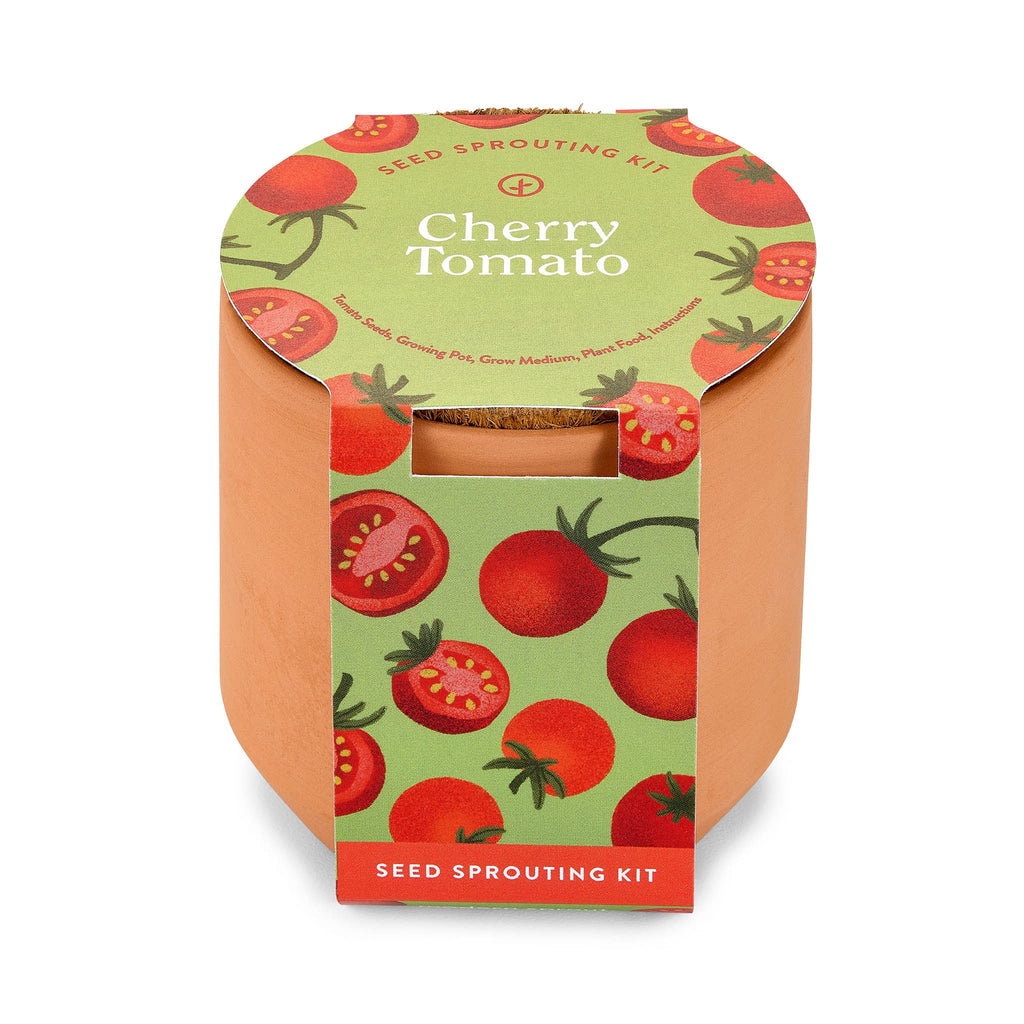 Modern Sprout Cherry Tomato Seed Sprouting Kit in a small terracotta pot with illustrated belly band packaging, front view.