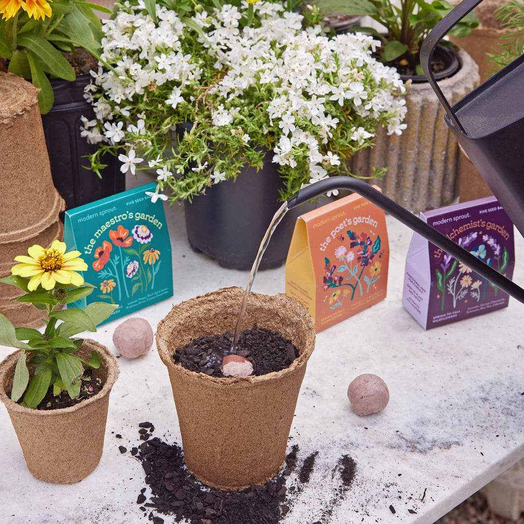 Person watering a small seed ball in a biodegradable pot with gardening books and plants in the background.