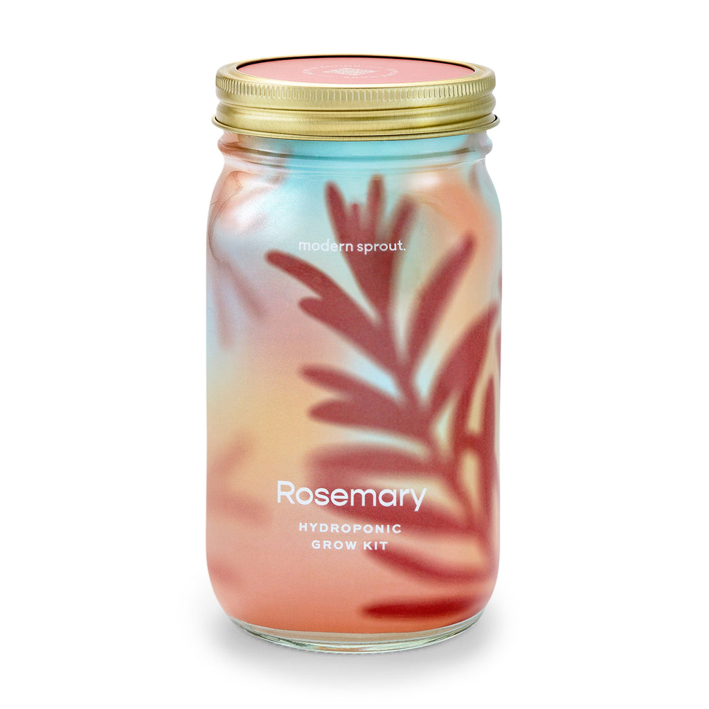 Modern Sprout organic rosemary herb garden jar hydroponic grow kit in mason jar with colorful illustrated leaf sleeve, front view.