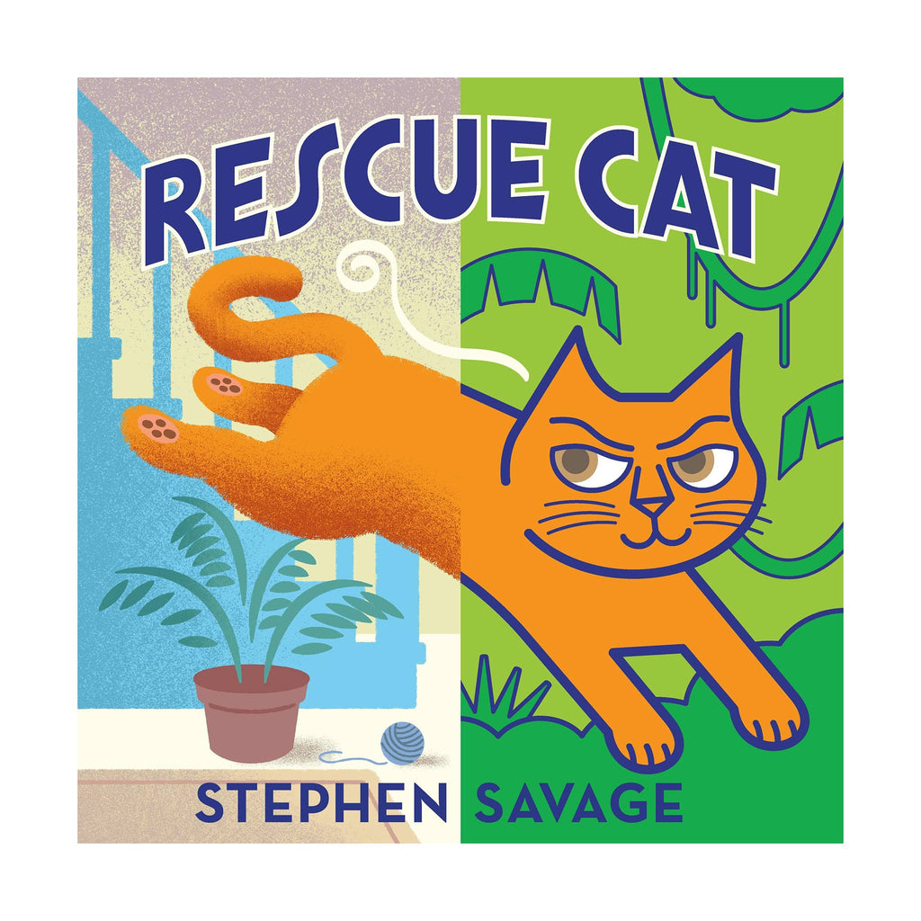 Macmillan Rescue Cat children's picture book hardcover front cover.