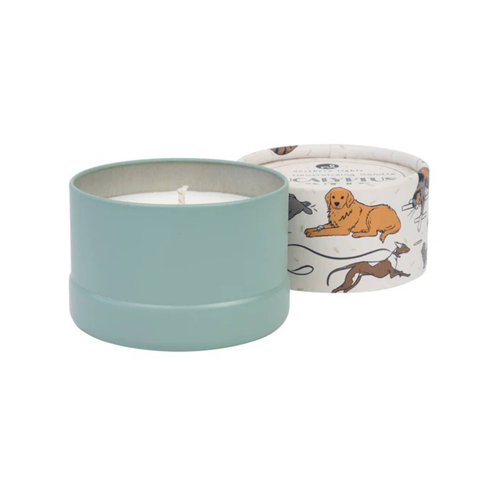 Northern Lights Pet Odor Neutralizing Scented Candle in Eucalyptus Mint Leaf, in packaging, lid off, side view.