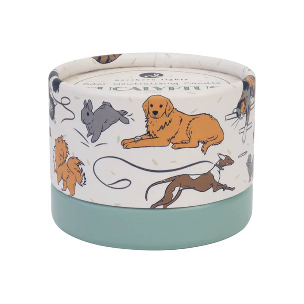 Northern Lights Pet Odor Neutralizing Scented Candle in Eucalyptus Mint Leaf, in packaging, lid on.