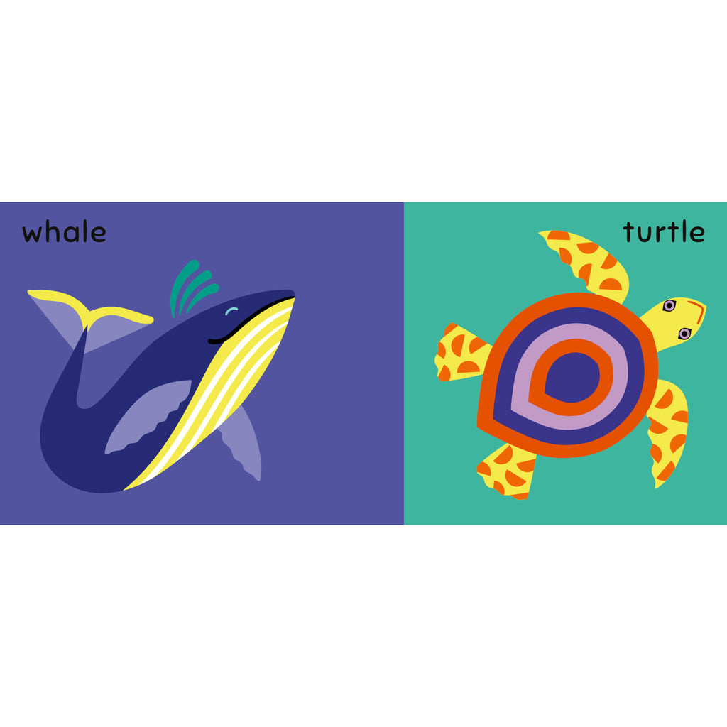 quarto my first ocean animals