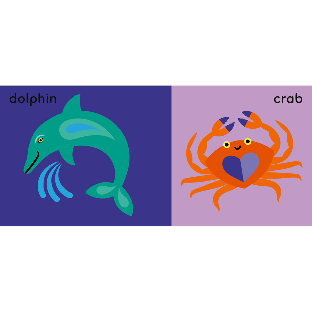 quarto my first ocean animals