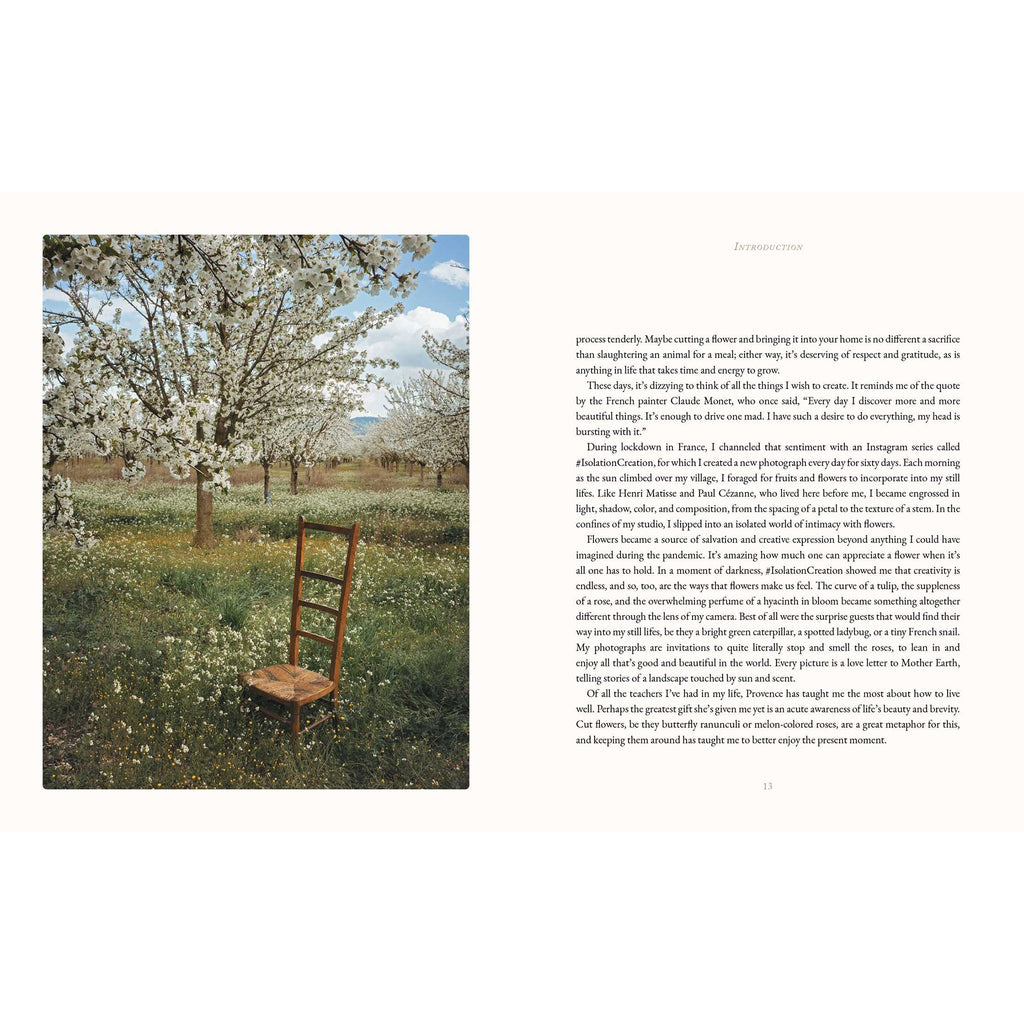 Simon & Schuster The Flowers of Provence by Jamie Beck, intro pages with a photo of trees with white blossoms.