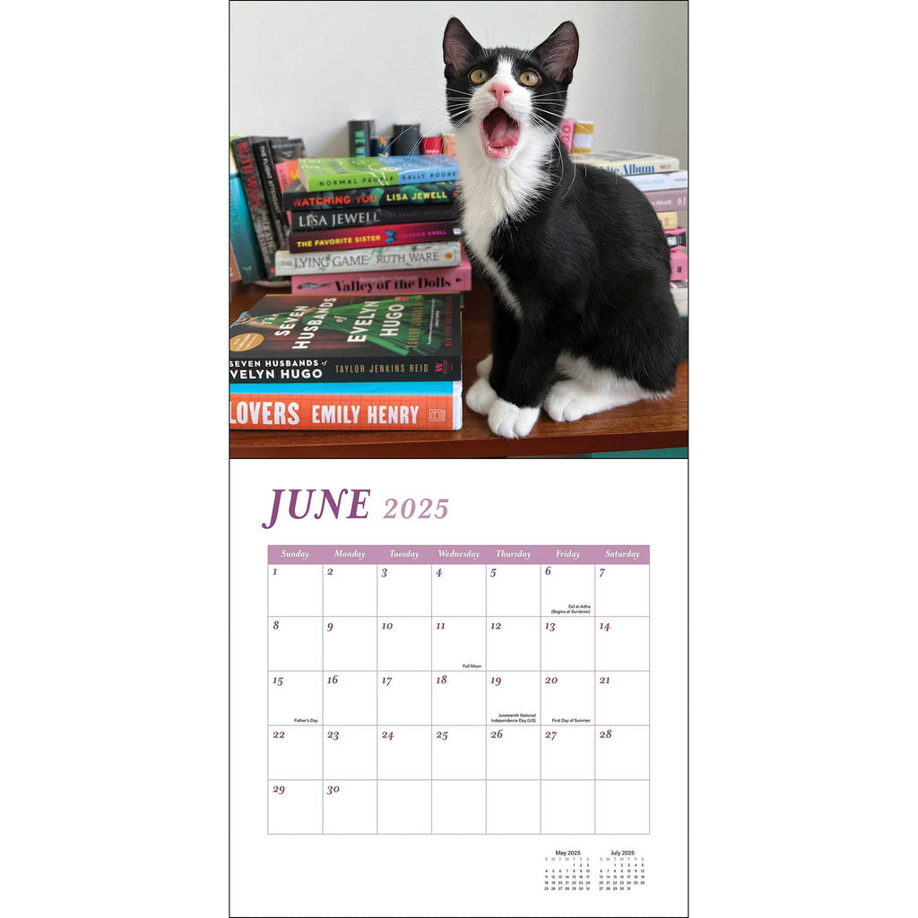 simon schuster cats books 2025 wall calendar