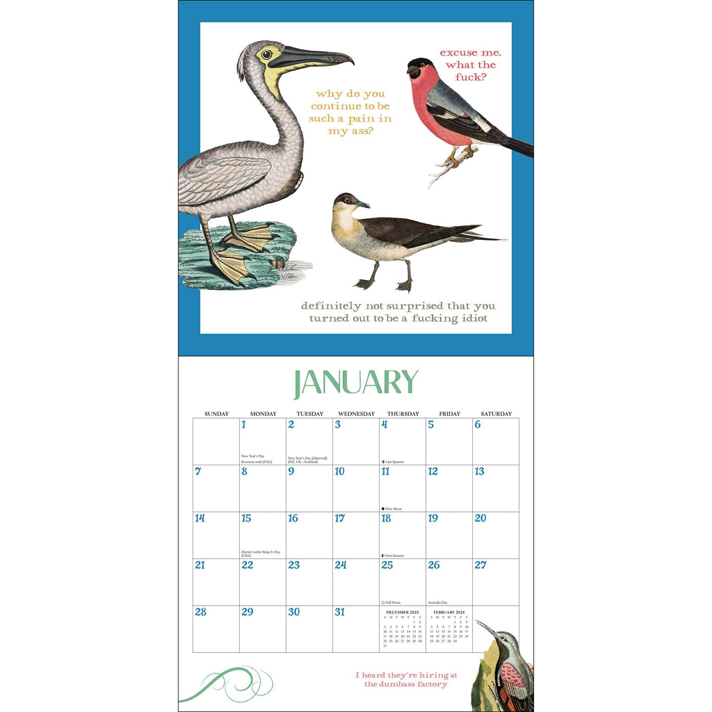 Simon & Schuster 2024 Effin' Birds wall calendar by Aaron Reynolds, sample January 2024 page with bird illustrations and sweary captions.