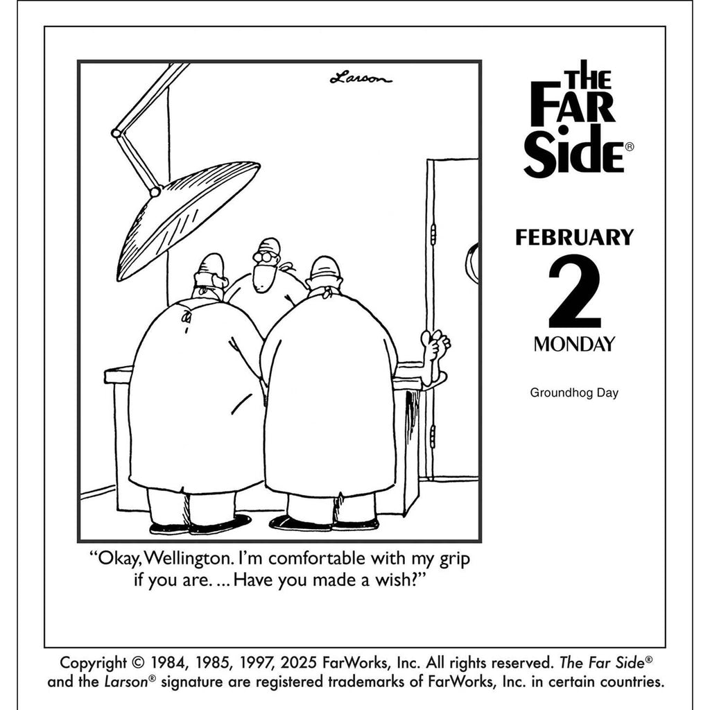 simon schuster the far side 2026 off the wall day to day calendar