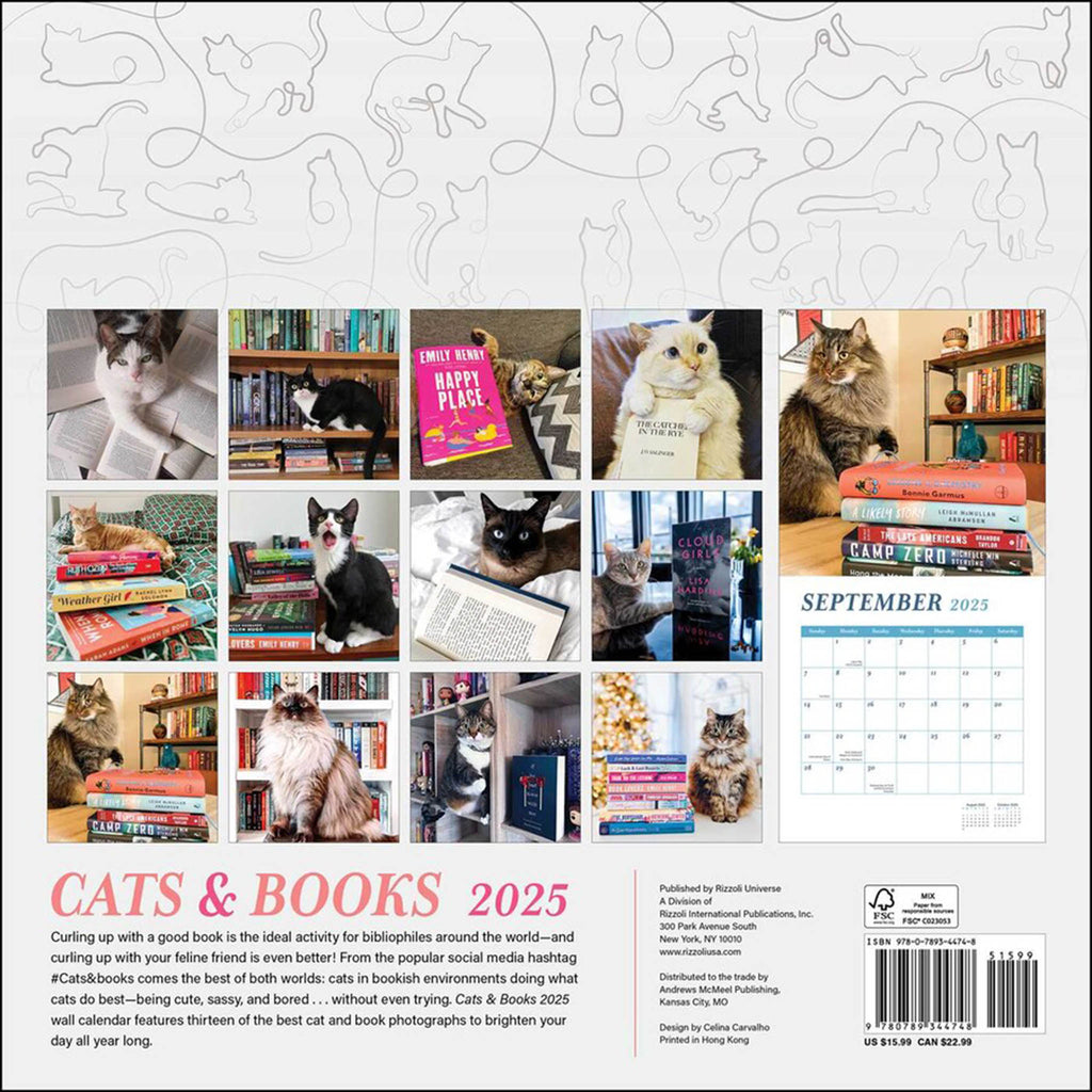 simon schuster cats books 2025 wall calendar