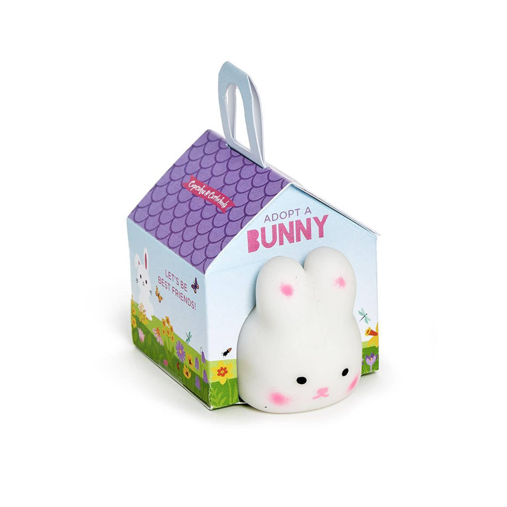 Two's Company Adopt A Bunny stretch and mold white bunny in house box packaging.