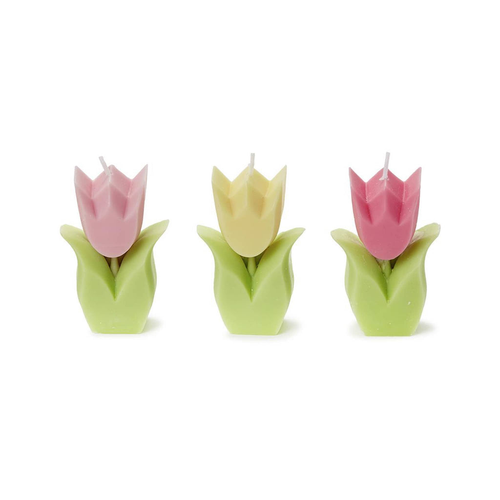 Two's Company Tulip Garden shaped unscented candle in three colors, front view.