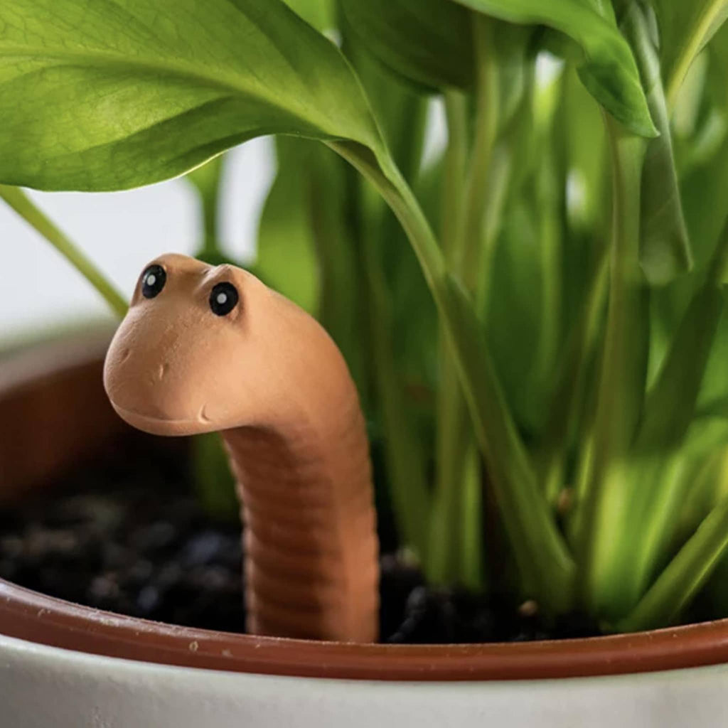 Two's Company Watchful Worm Terracotta Water Sensor in a potted plant.