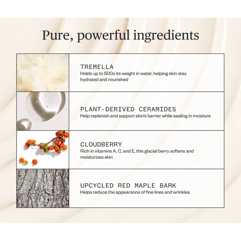 List of pure, powerful natural ingredients with corresponding images and descriptions on a light background.