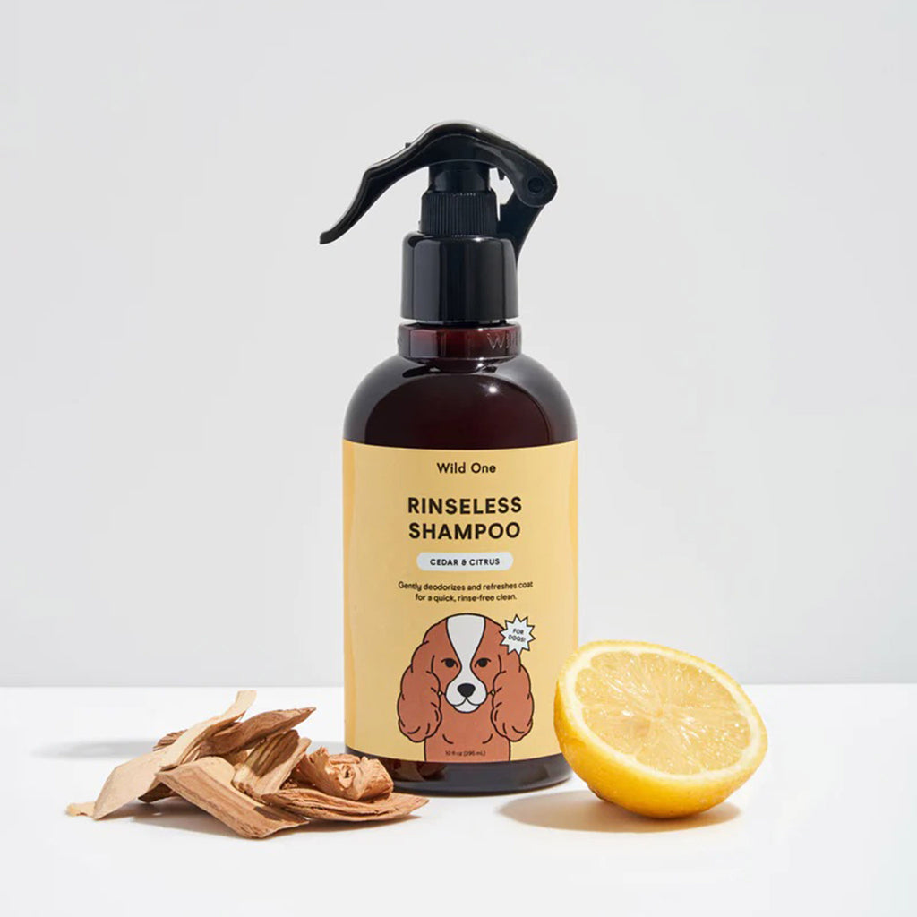 Wild One Cedar & Citrus scented rinseless shampoo for dogs in spray bottle.