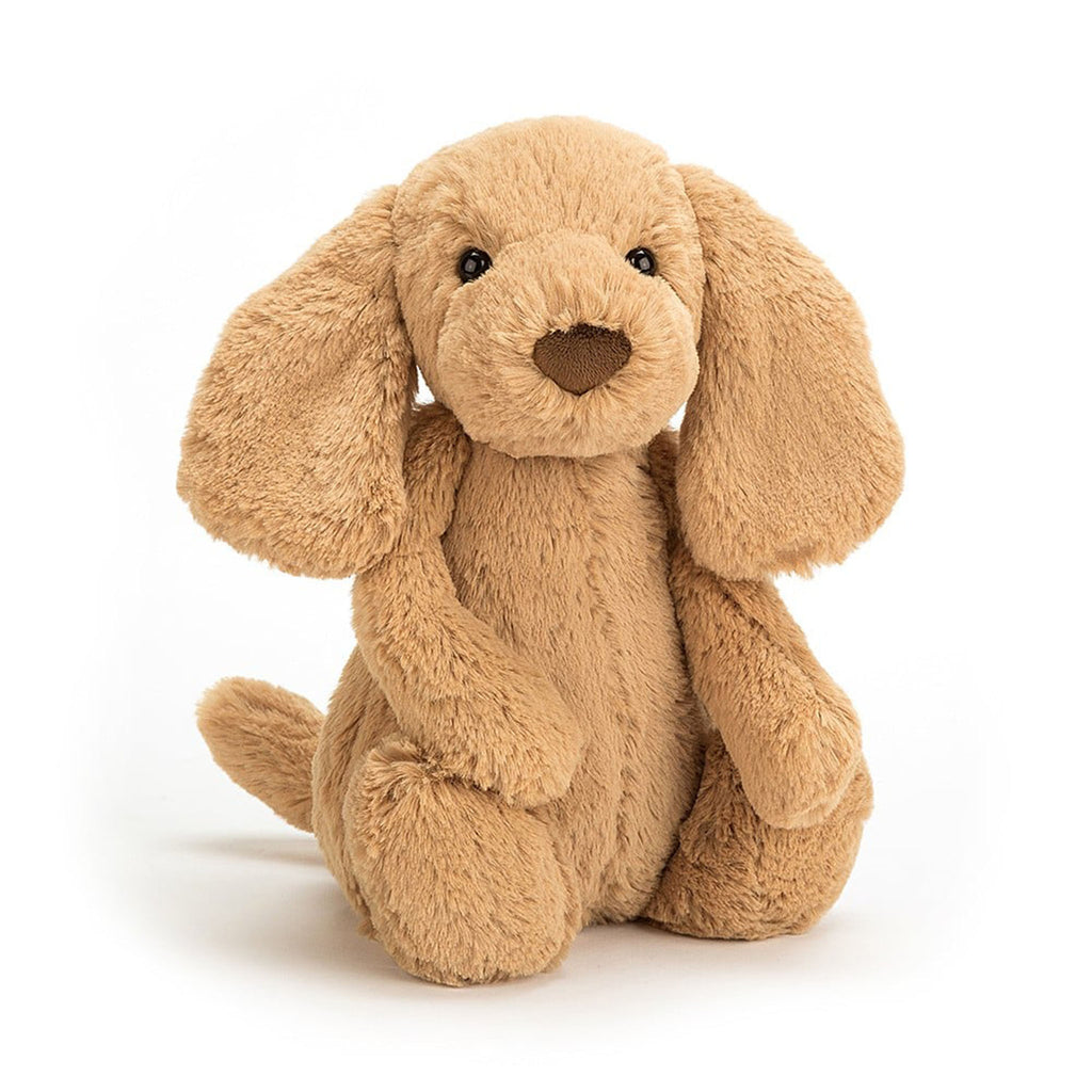 Jellycat Small Bashful Toffee Puppy plush toy, front view.