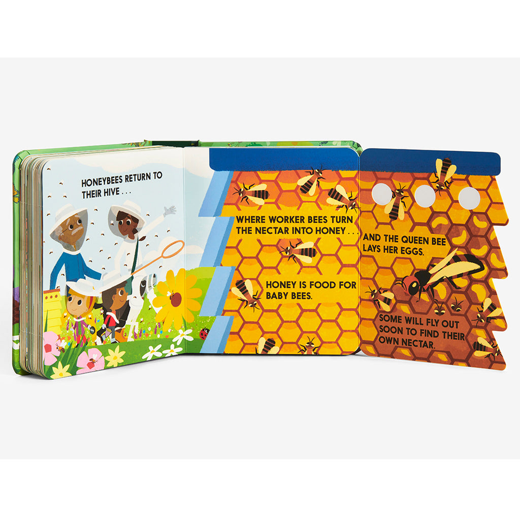 Sample page from Abrams Bug Block board book with page folded out to show illustrations of honeybees in a hive.