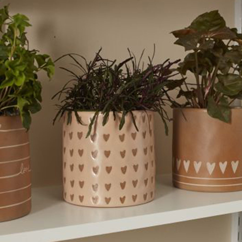 Dusty pink clay plant pot with little brown hearts all over, on a shelf with a plant in it.