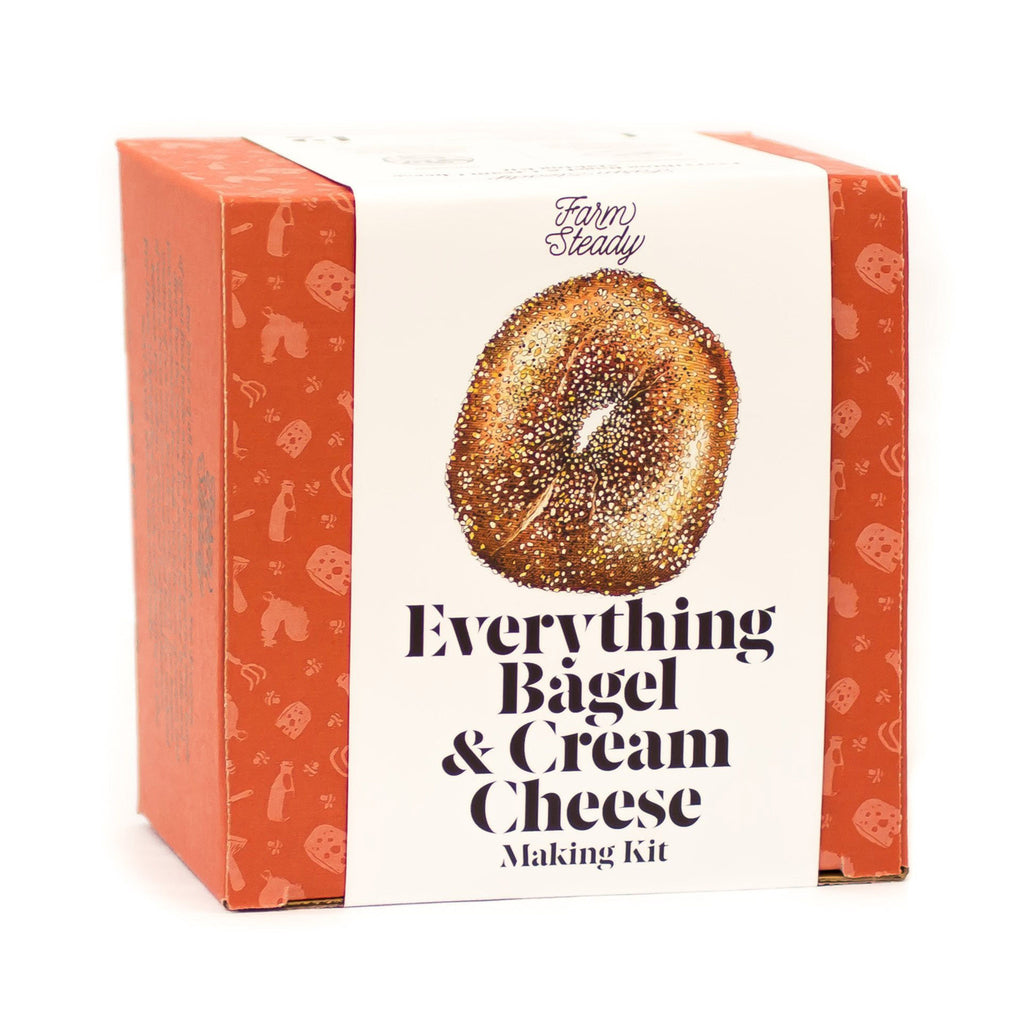 everything bagel and cream cheese making kit