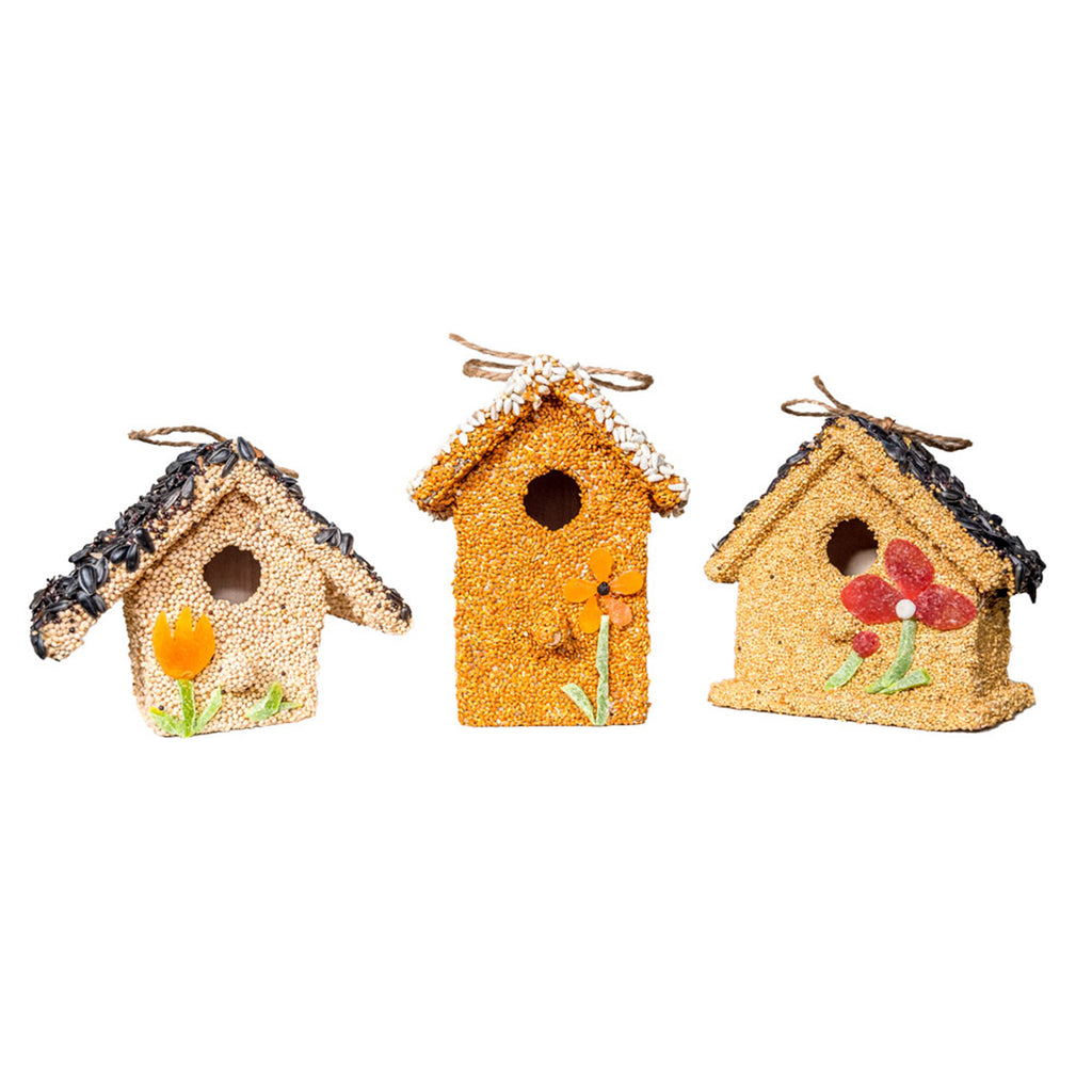 mr. bird spring fruit cottage houses covered in bird seed and dried fruit in a variety of colors, shapes and sizes