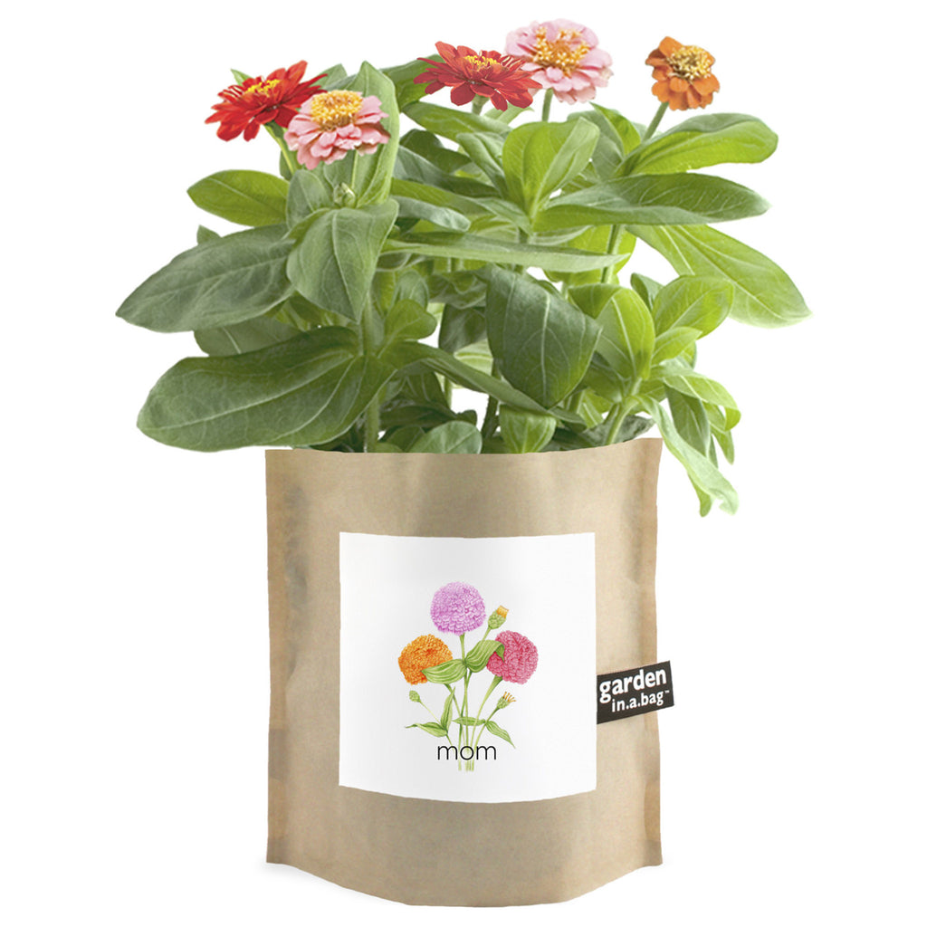 Potting Shed Creations Mom Garden in a Bag, front of waxed kraft paper bag with green grosgrain ribbon bow and label with an illustration of a orange, pink and purple dwarf zinnia flowers. A flowering dwarf zinnia plant is shown growing out of the top of the bag.