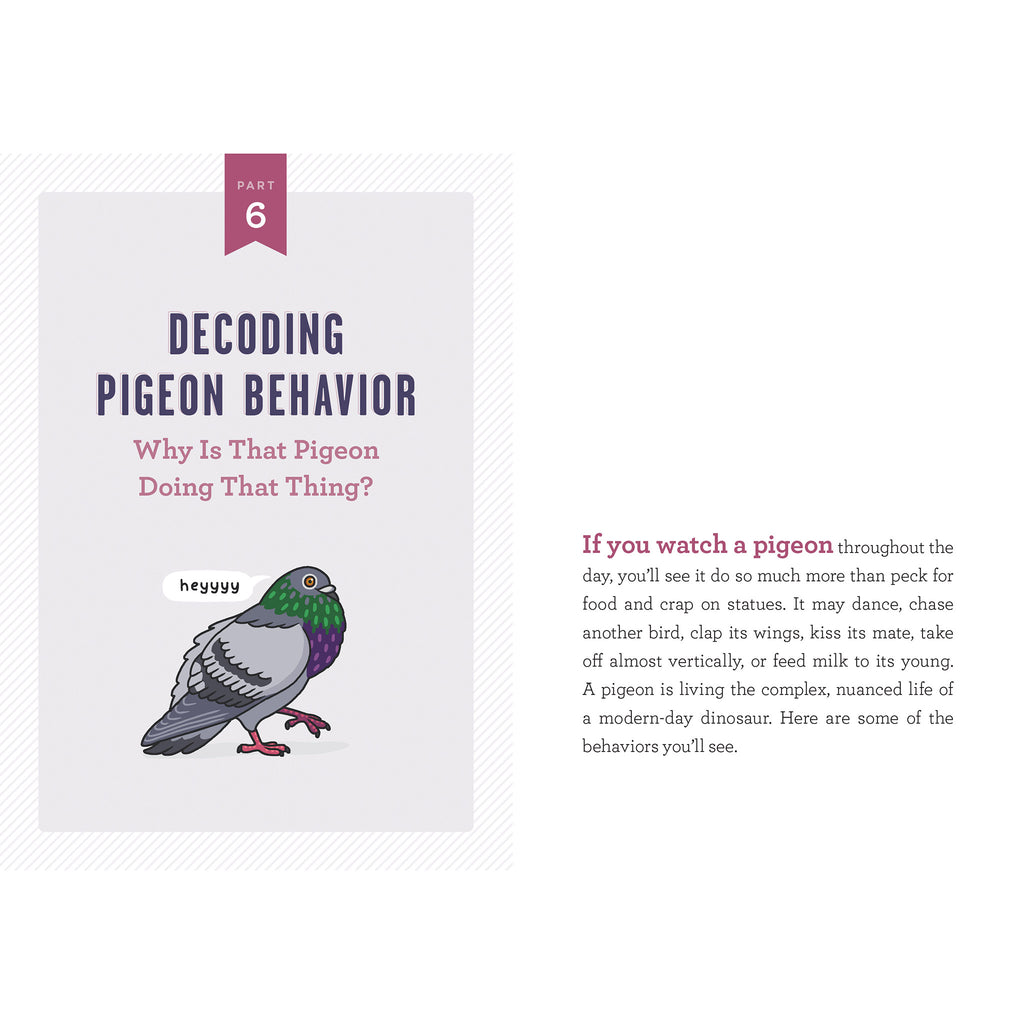 workman a pocket guide to pigeon watching sample page on decoding pigeon behavior with an illustration of a pigeon