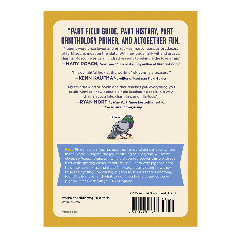 workman a pocket guide to pigeon watching softcover book back cover with an illustration of a pigeon