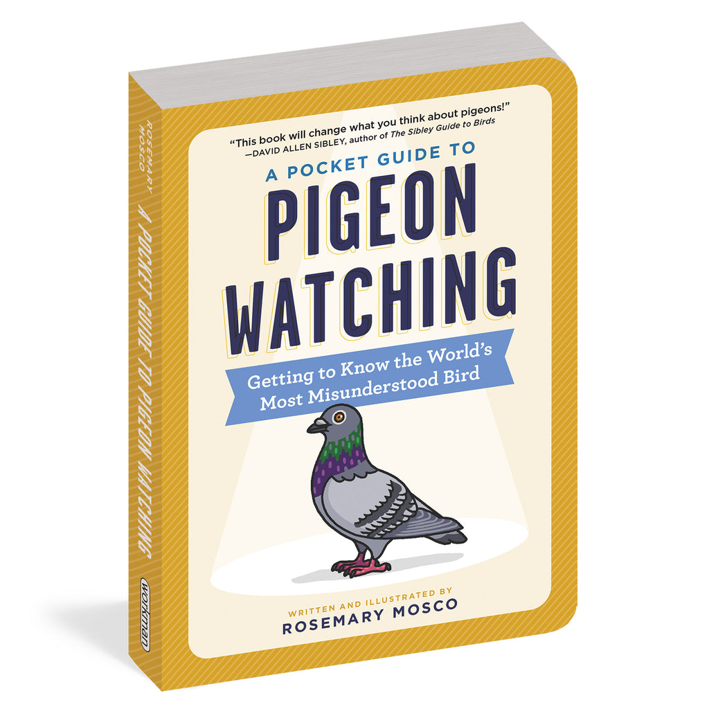 workman a pocket guide to pigeon watching softcover book front cover with an illustration of a pigeon