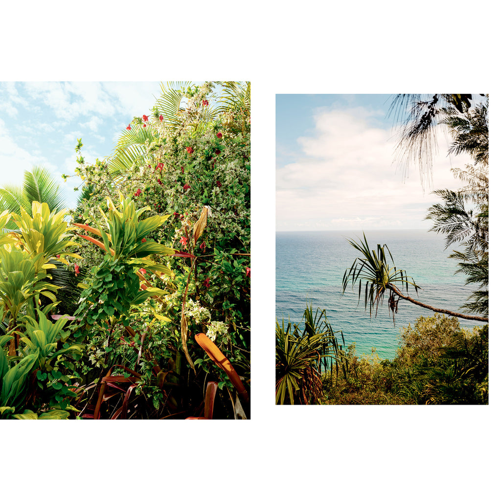 Sample page of tropical foliage and palm trees with the ocean in the background  from Kinfolk Wilderness hardcover book by John Burns.