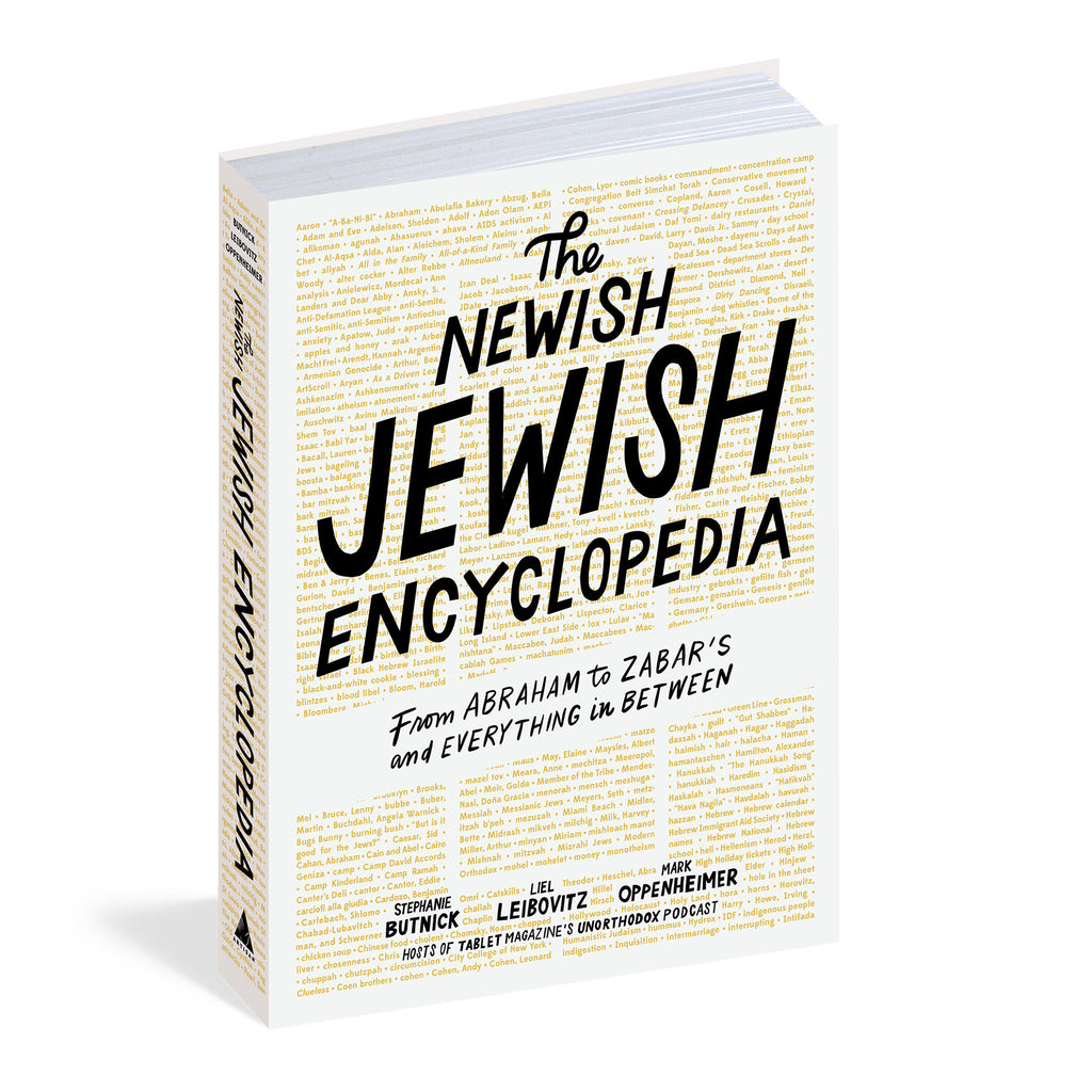 the newish jewish encyclopedia book cover