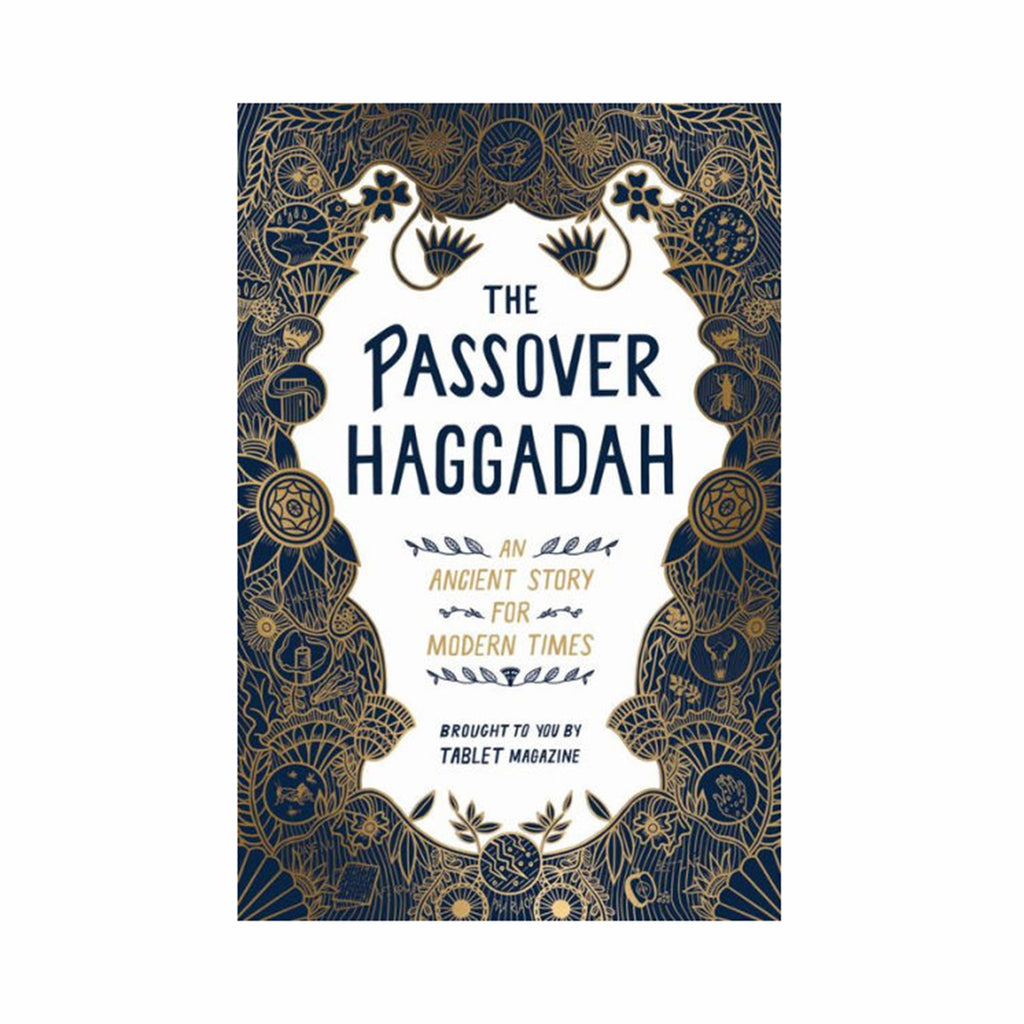workman the passover haggadah an ancient story for modern times cover